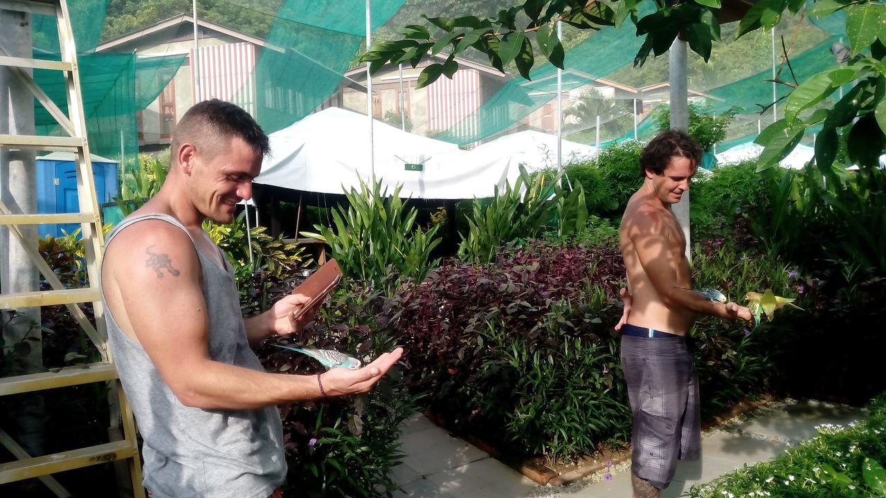 הוילה פנתאי צנאנג T Garden מראה חיצוני תמונה