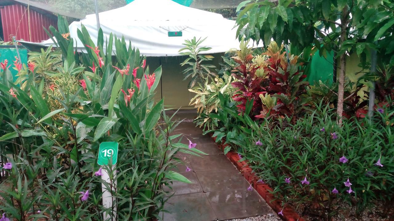 הוילה פנתאי צנאנג T Garden מראה חיצוני תמונה